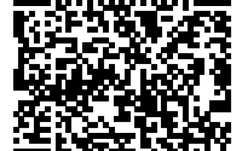 2025 最新苹果 iOS 科学上网客户端 Shadowrocket 小火箭配置规则